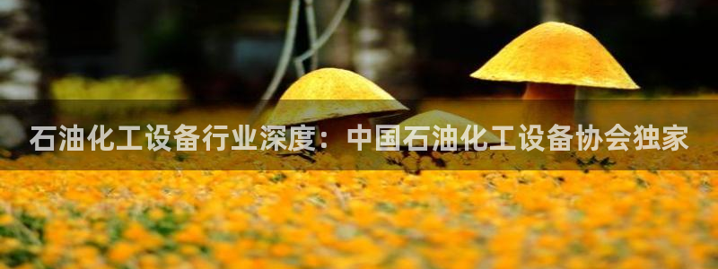天辰平台怎么样赚钱快