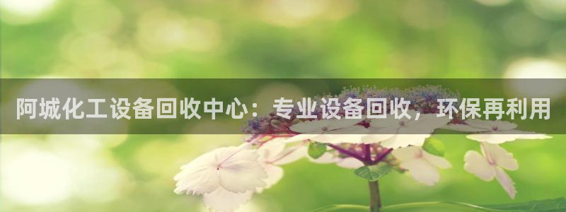 天辰平台注册地址在哪里看