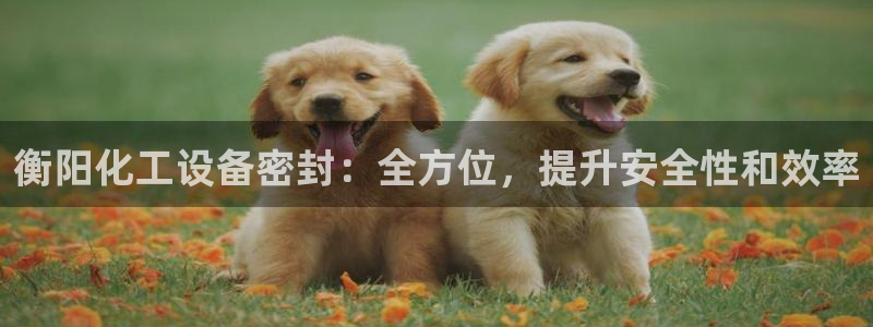 天辰平台登录地址在哪里查看