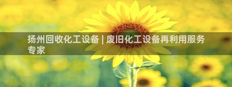 天辰商盟创业平台是真的吗