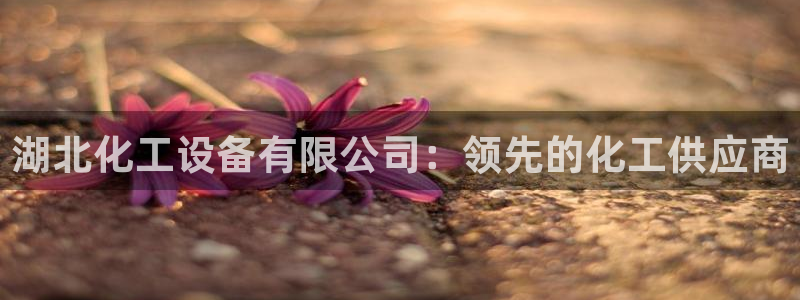 天辰平台 注册你的专属平台入口