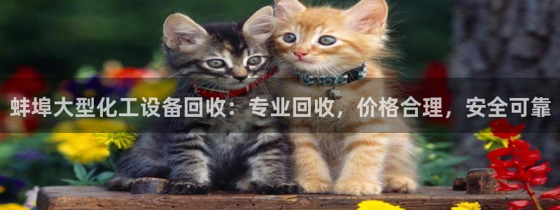 天辰平台可靠 5O69I7