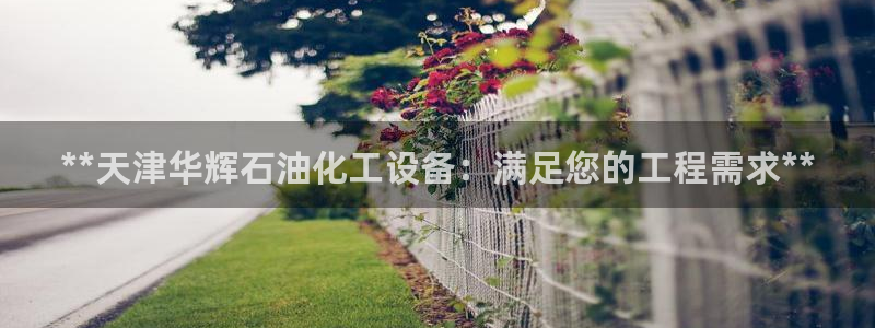 天辰平台用户登录失败怎么回事