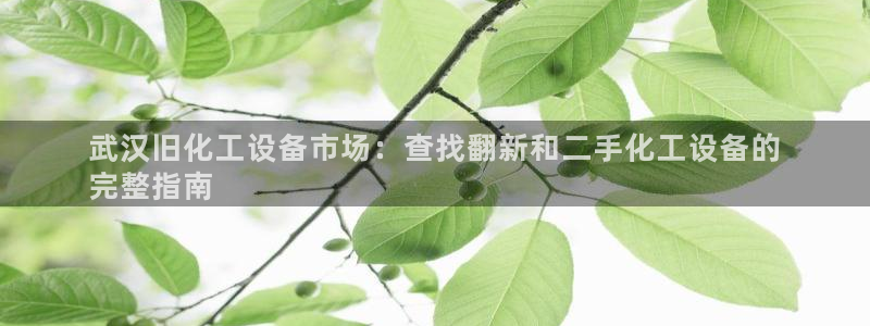 天辰平台注册地址在哪里查