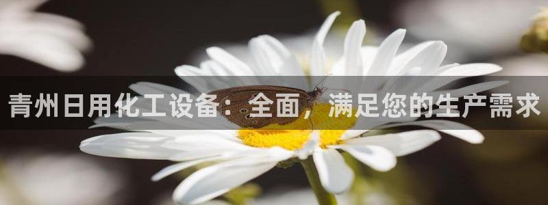 天辰平台会员多少钱