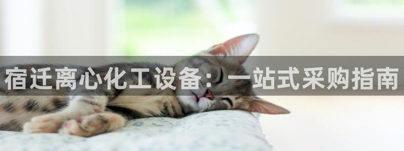 天辰平台会员多少钱一年