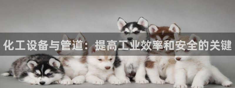 天辰平台注册地址在哪里看