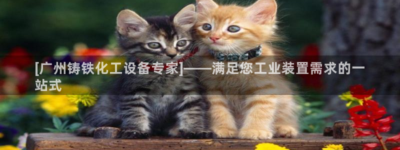 天辰平台入 585341 天辰