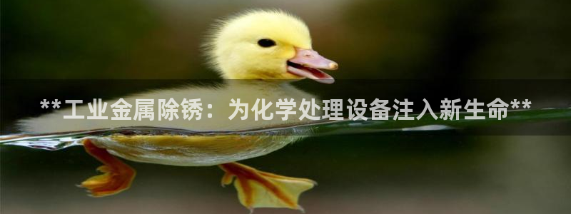 天辰会员注册链接怎么打开