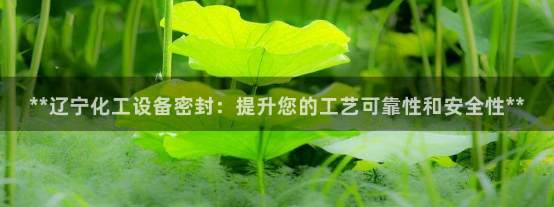 天辰平台招商1111是什么活动
