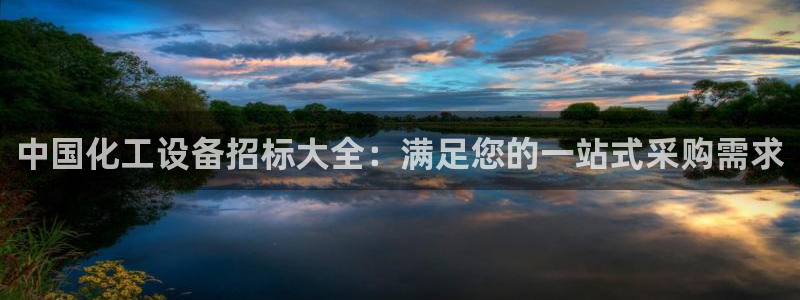 天辰平台害7O777：中国化工设备招标大全：满足您的一站式采