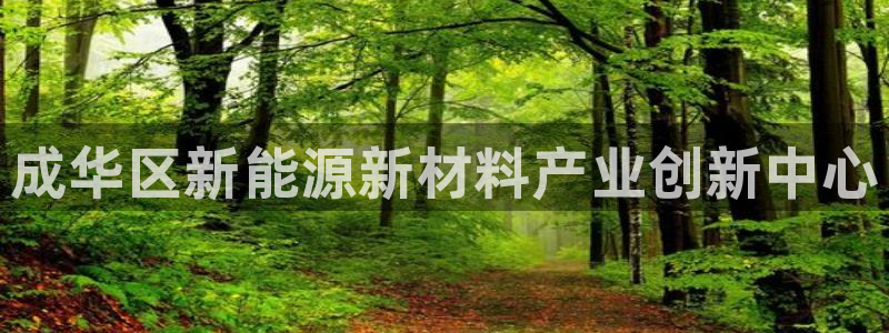 天辰平台障44262：成华区新能源新材料产业创新中