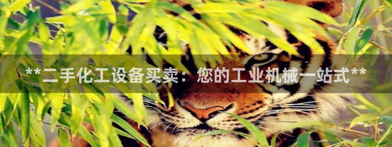 天辰平台想加 585.34I 天辰