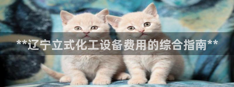 天辰平台 -专用通道安全稳定