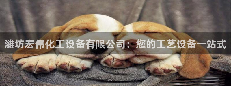 天辰平台网址是什么