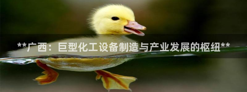 天辰平台你的专属平台