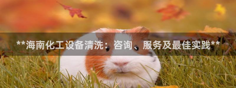 天辰平台怎么样可靠吗安全吗