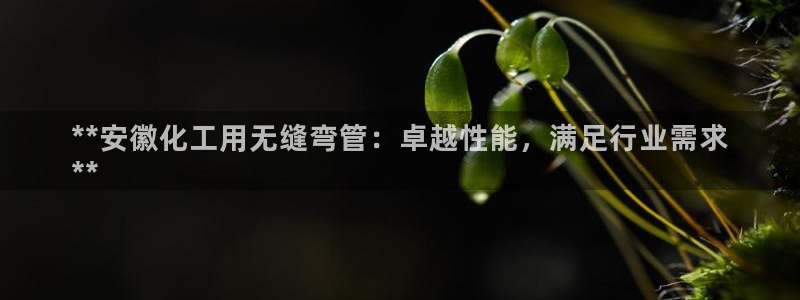 天辰平台用户登录不了